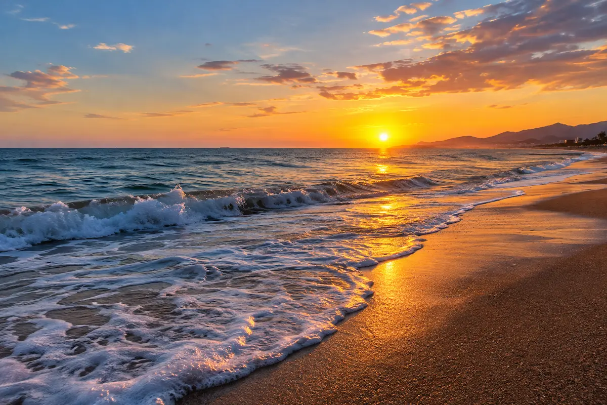 tipos de fondo de playas y que peces encontrar en ellos